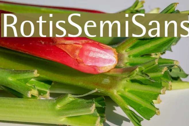 RotisSemiSans Example 2