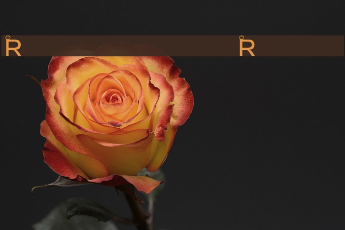 Rotlichtlampe-Regular Font examples