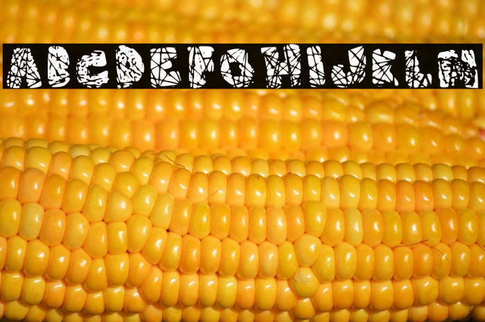 Roto Regular Example 3