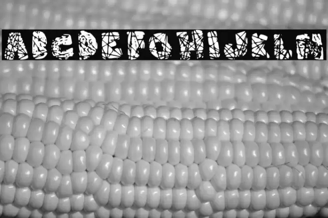 Roto Regular Font examples