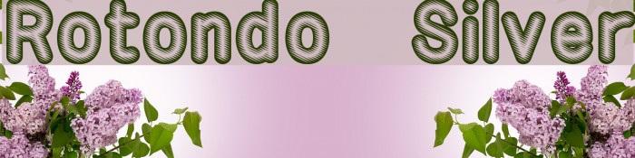 Rotondo Silver Font examples