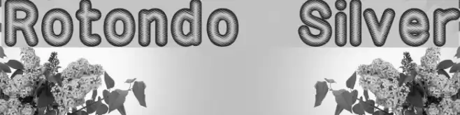 Rotondo   Silver Font examples