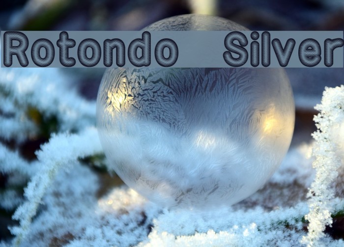 Rotondo Silver Font examples