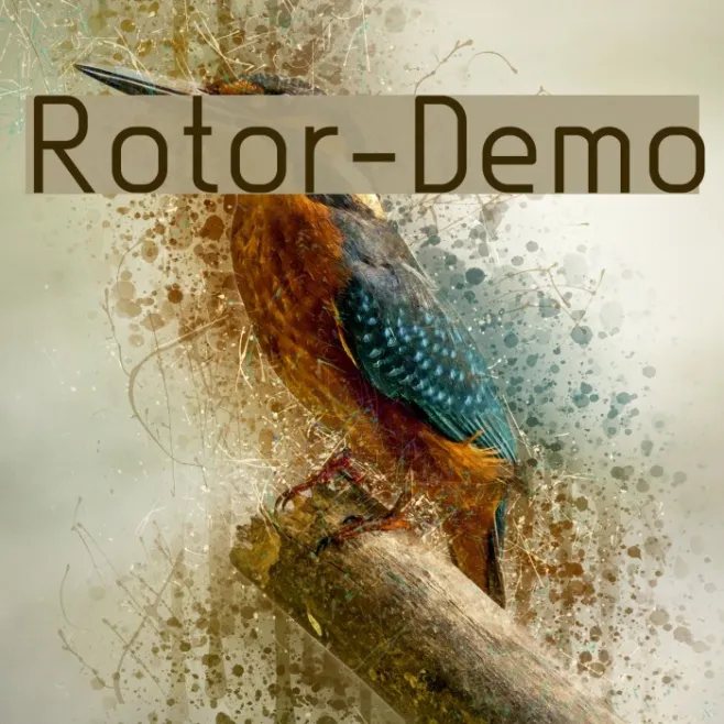 Rotor-Demo Example 3