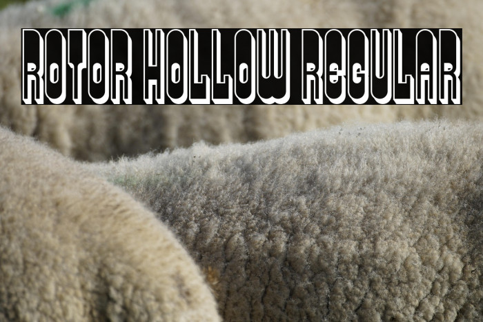 Rotor Hollow Regular Example 3