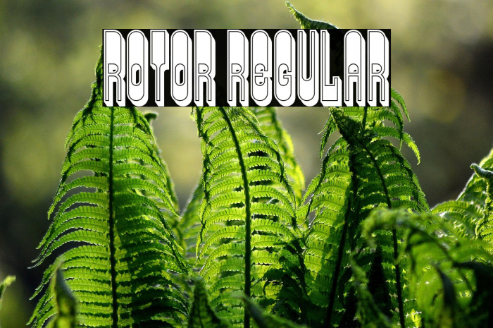 Rotor Regular Example 2