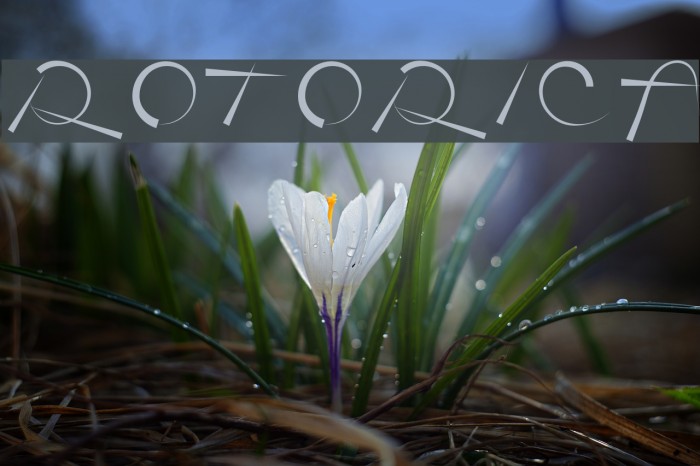 Rotorica Font examples