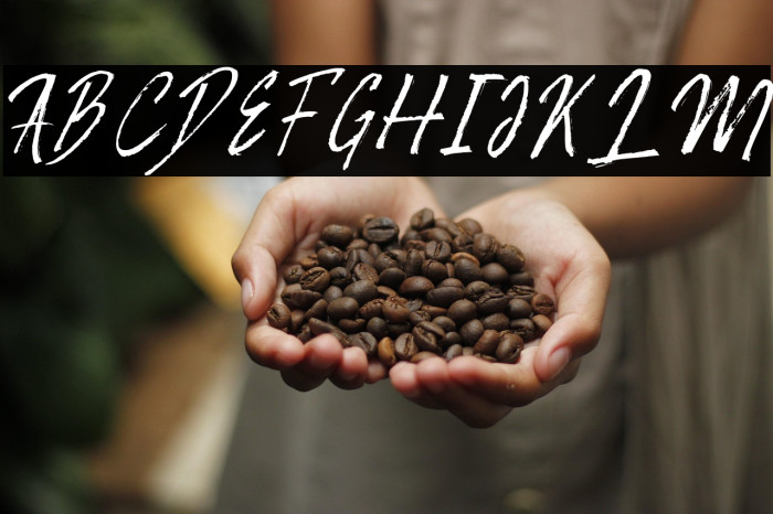 RotoveRegular Example 1