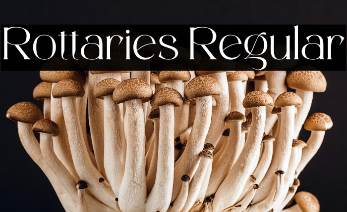 Rottaries Regular Example 3