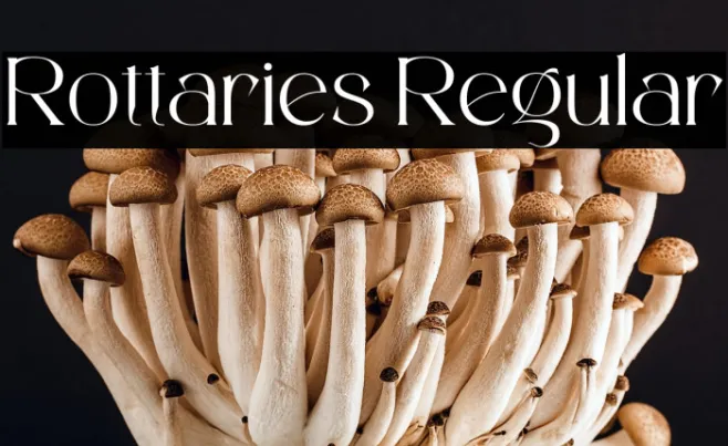 Rottaries Regular Example 3