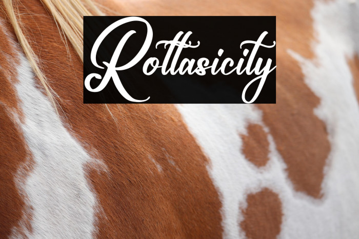 Rottasicity Example 3