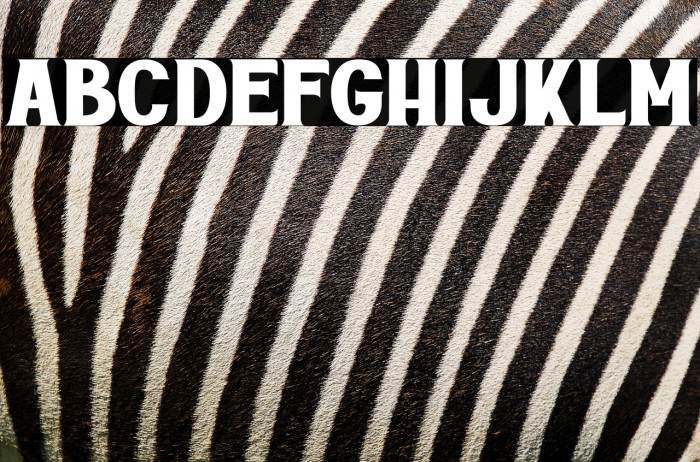 Rottely Personal Use Example 2