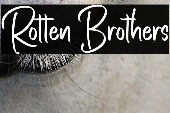 Rotten Brothers Example 1