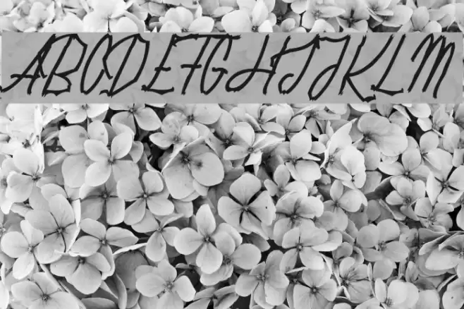 Rotten Pumkin_PersonalUseOnly Font examples