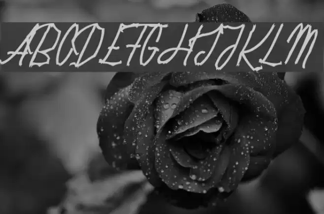 Rotten Pumkin_PersonalUseOnly Font examples