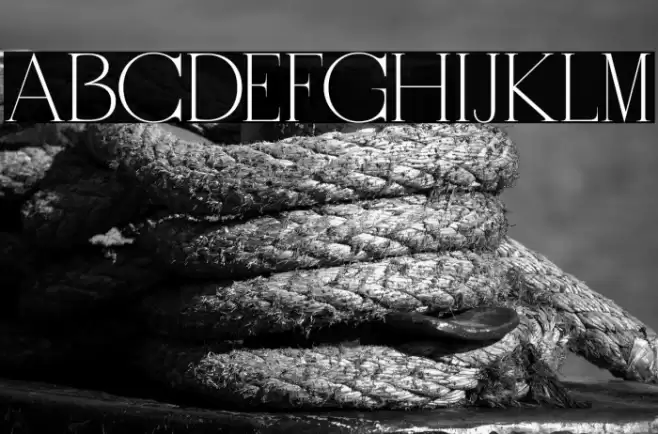 RotterburgStylishFREE-Regular Font examples