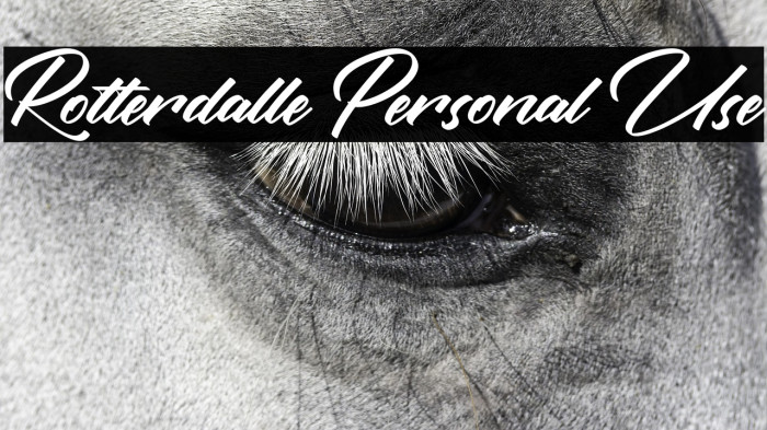 Rotterdalle Personal Use Example 1