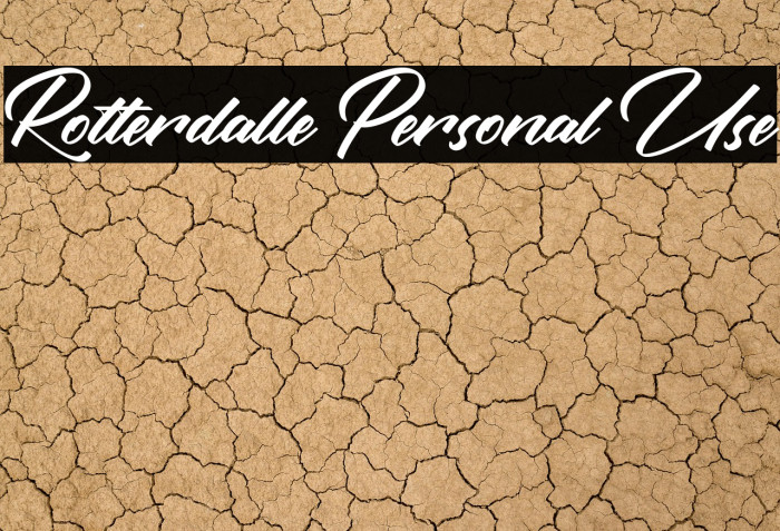 Rotterdalle Personal Use Example 2