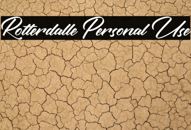 Rotterdalle Personal Use Example 2