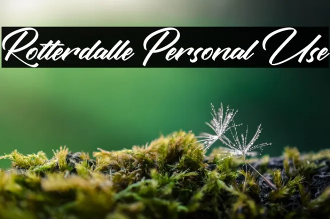 Rotterdalle Personal Use Example 3