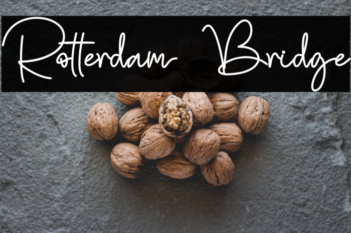 Rotterdam Bridge Example 1