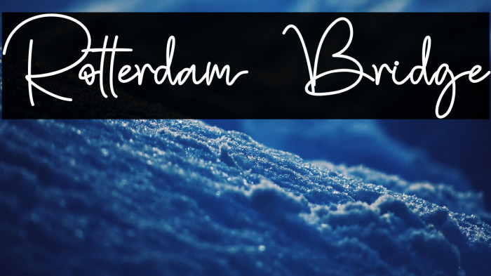 Rotterdam Bridge Example 3
