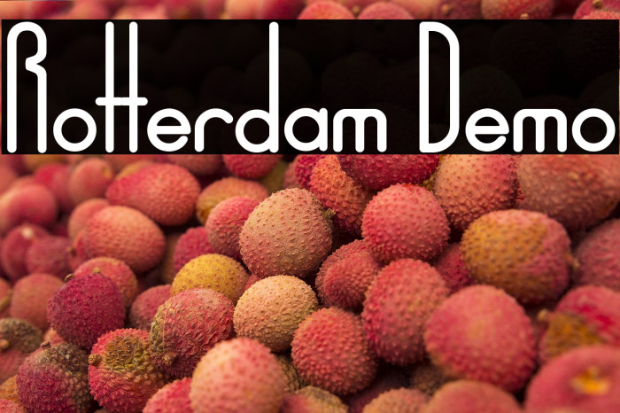 Rotterdam Demo Example 2