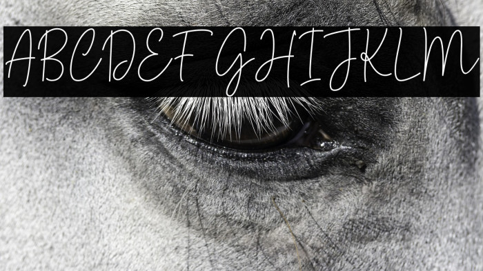 Rotterdam Signature Example 3