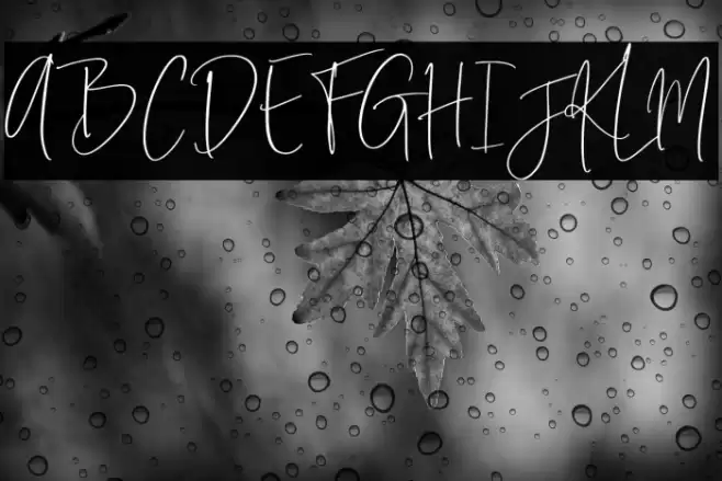 Rotterdam Font examples