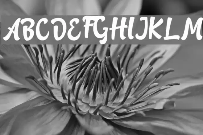 Rotterin Demo Regular Font examples