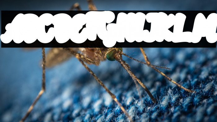 Rotterin Extrude Demo Regular Example 2