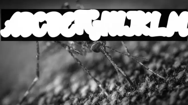 Rotterin Extrude Demo Regular Font examples