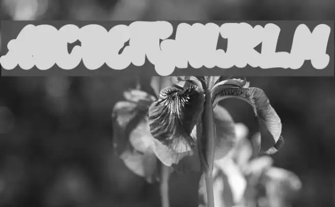 Rotterin Extrude Demo Regular Font examples