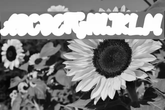 Rotterin Extrude Demo Regular Font examples