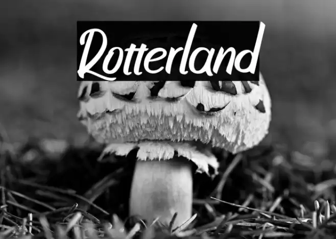 Rotterland Font examples