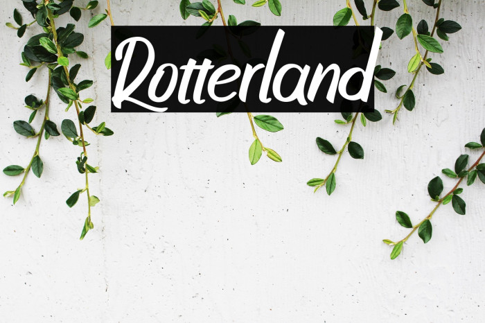 Rotterland Example 3