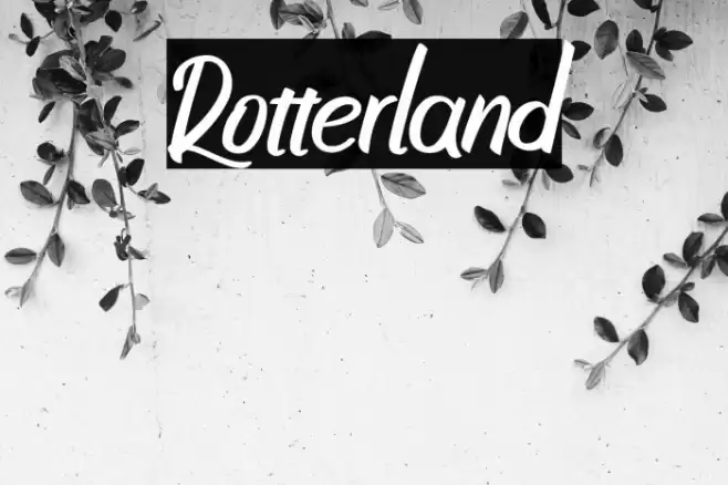 Rotterland Font examples