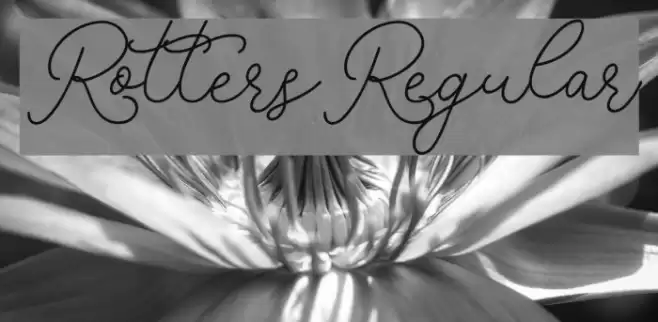 RottersRegular Font examples