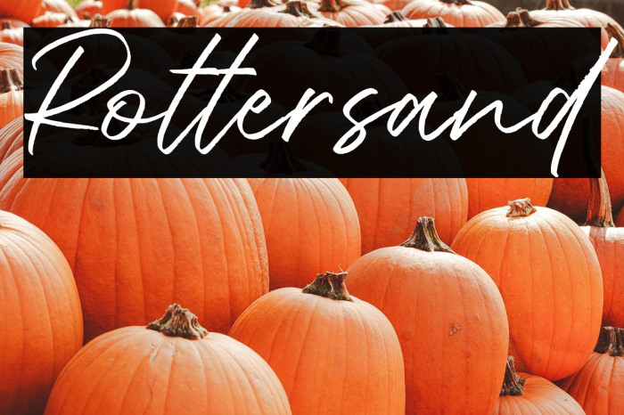 Rottersand Example 1