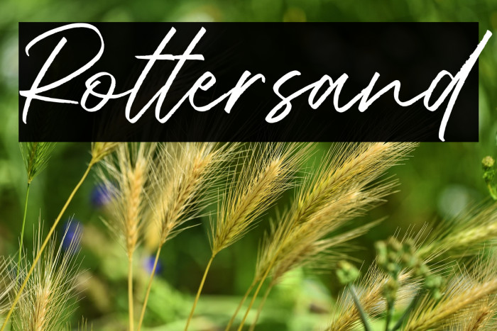 Rottersand Example 3