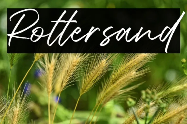 Rottersand Example 3