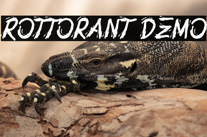 Rottorant Demo Example 2