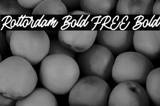 Rottordam Bold FREE Bold Fuentes examples