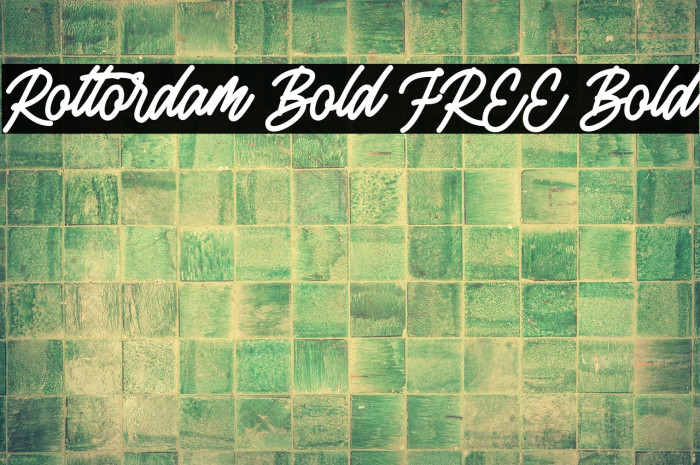 Rottordam Bold FREE Bold Example 3