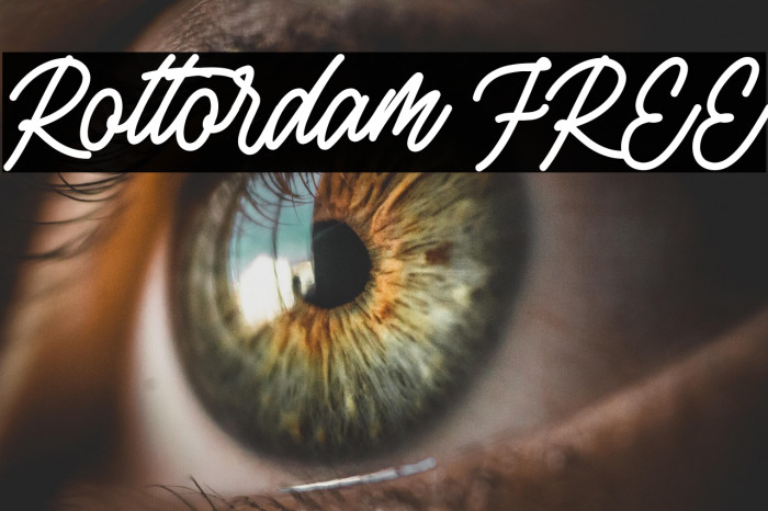 Rottordam FREE Example 2