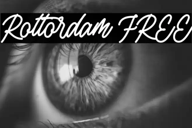 Rottordam FREE  examples