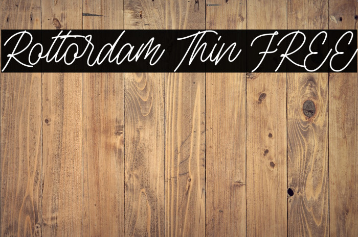 Rottordam Thin FREE Example 1