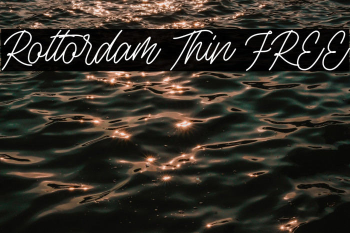 Rottordam Thin FREE Example 2