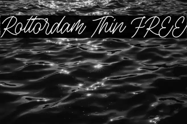 Rottordam Thin FREE Fuentes examples