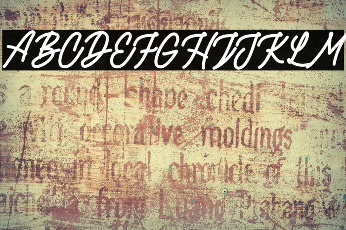 RottordamBoldFREE-Bold Example 1